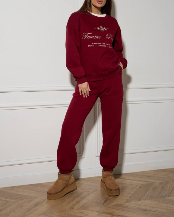 59/1 спортивний костюм на флісі з вишивкою світшот з джогерами 